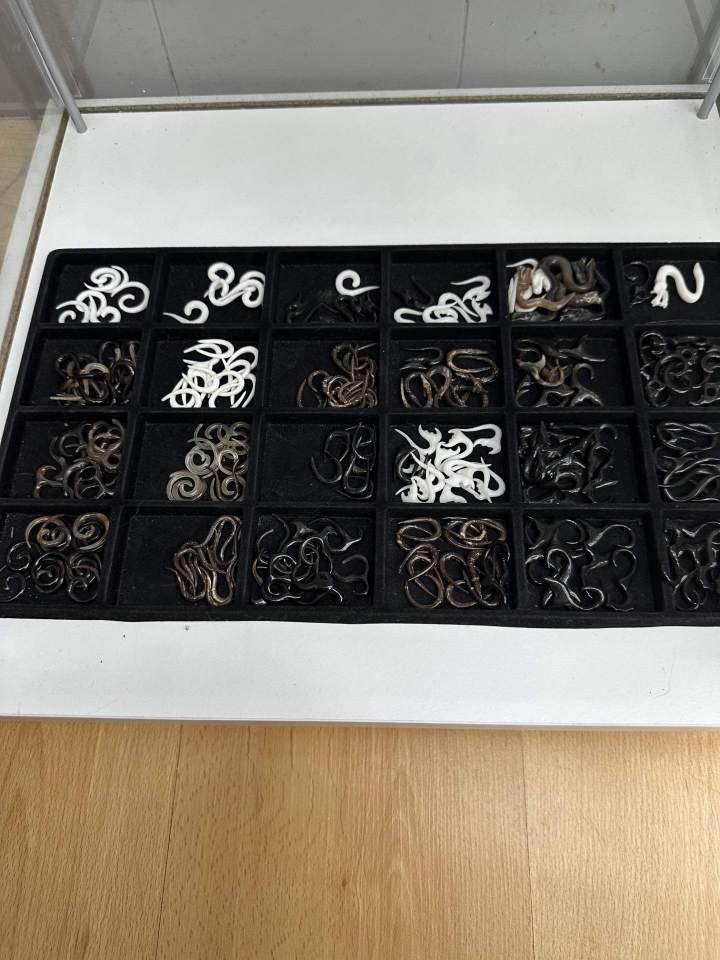 Bijoux piercing Québec