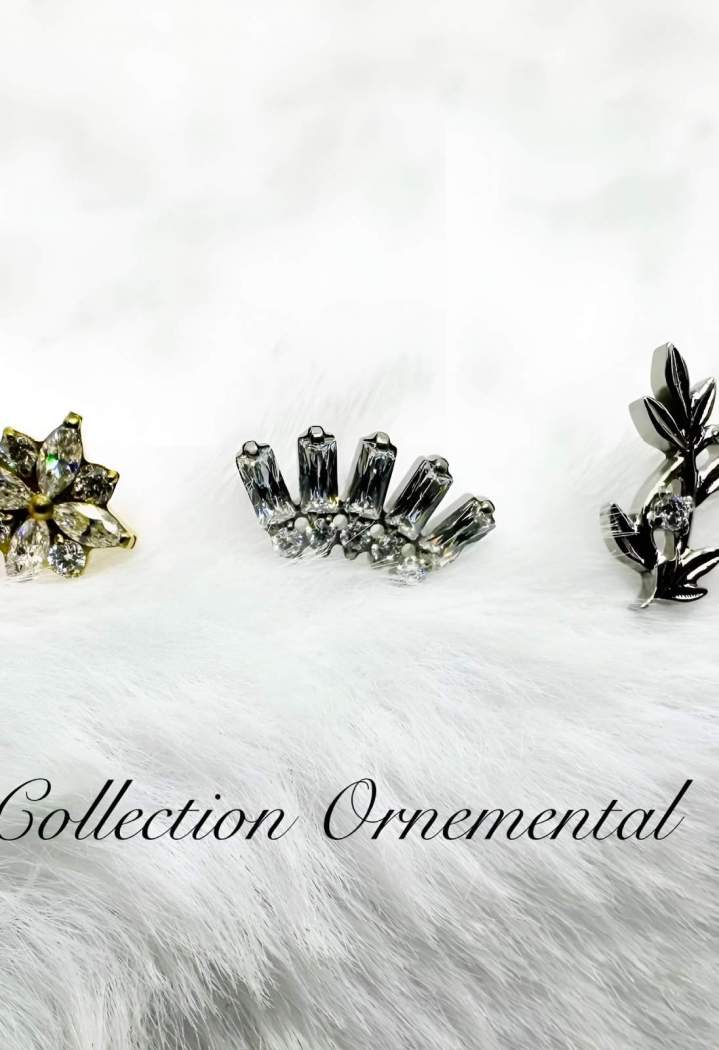 Bijoux piercing Québec