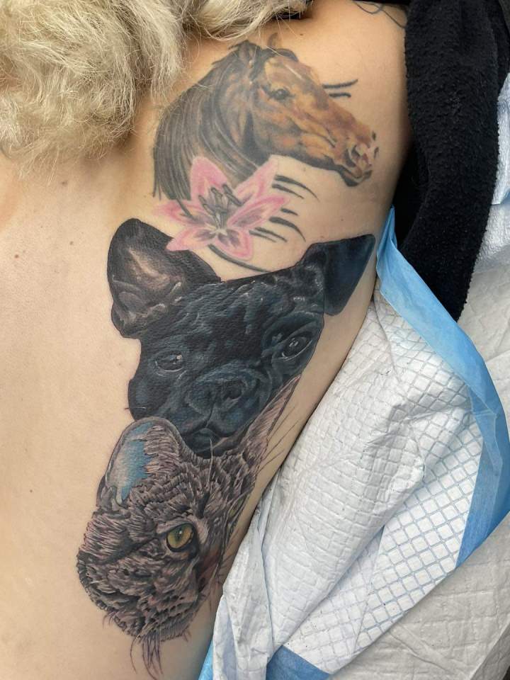 Chat et Chien tatouage réaliste tatouage animaux tatouage tatouage couleurs couleurs siyo tatouage Québec Charlesbourg beauport limoilou st foy.jpg