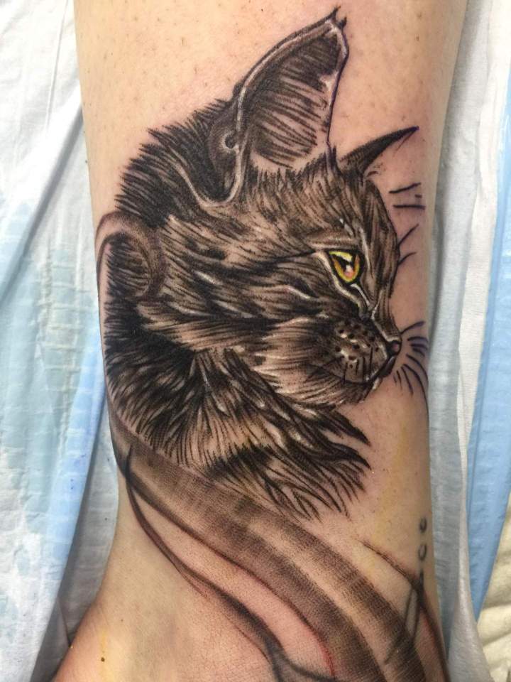 chat tatouage réaliste tatouage animaux tatouage tatouage noir et gris siyo tatouage Québec Charlesbourg beauport limoilou st foy.jpg