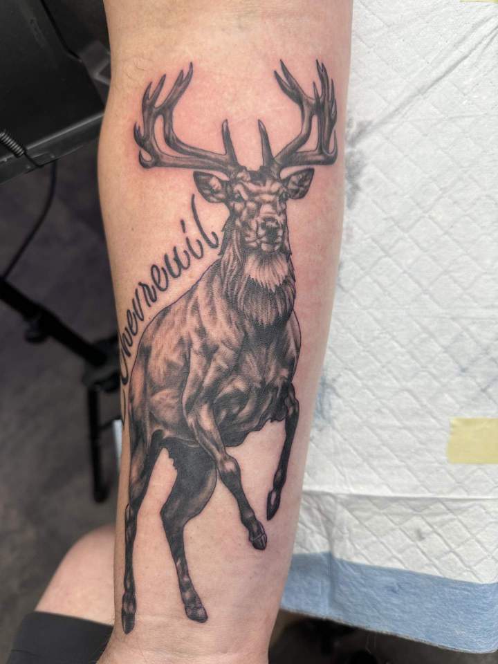 chevreuil tatouage réaliste tatouage animaux tatouage tatouage noir et gris siyo tatouage Québec Charlesbourg beauport limoilou st foy.jpg