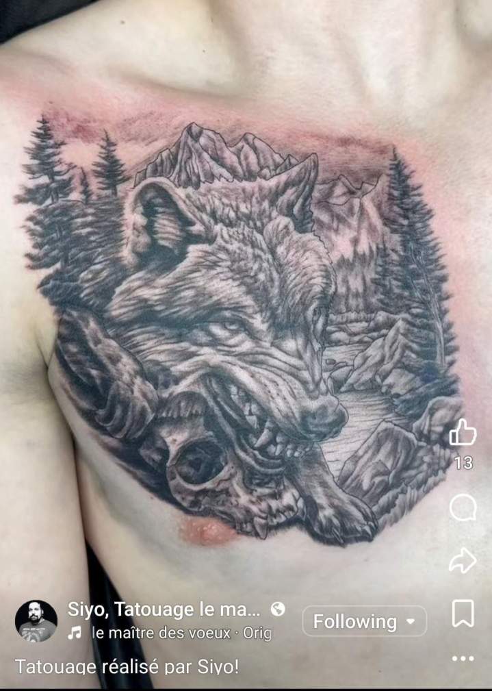 loup tatouage réaliste tatouage animaux tatouage tatouage noir et gris siyo tatouage Québec Charlesbourg beauport limoilou st foy.jpg