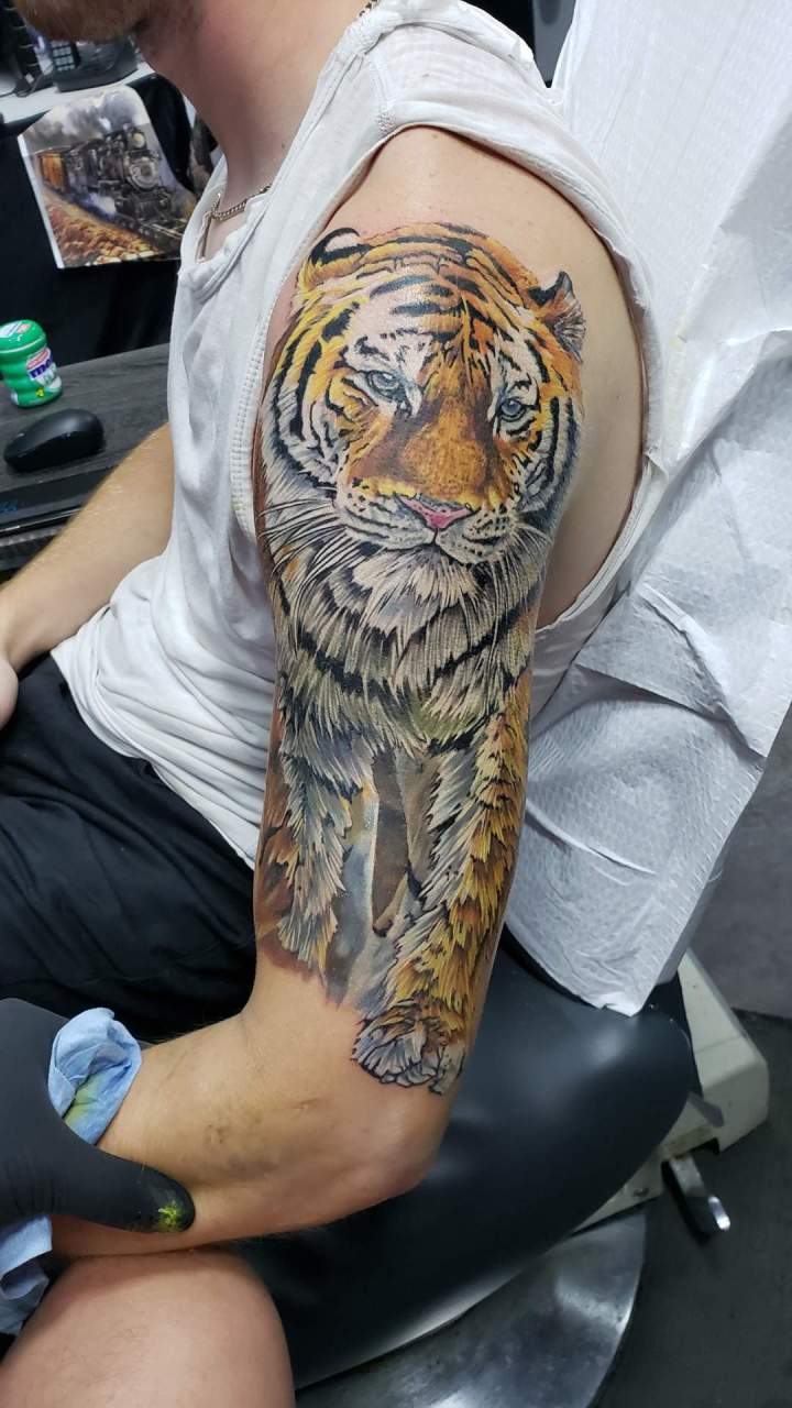 tigre tatouage réaliste tatouage animaux tatouage tatouage couleurs couleurs siyo tatouage Québec Charlesbourg beauport limoilou st foy.jpg